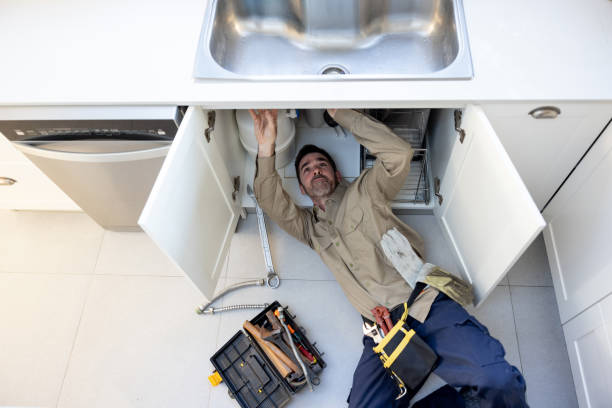 Best Affordable Plumber Near Me  in Zapata, TX