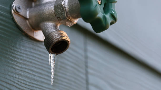 Best Sewer Line Repair  in Zapata, TX