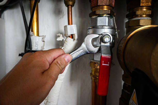 Best Commercial Plumbing Services  in Zapata, TX